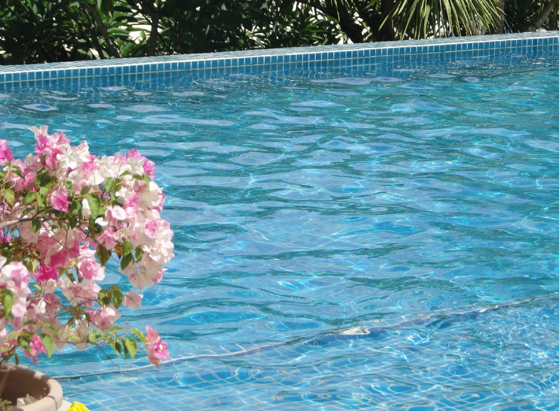 zwembad voor normale tuin